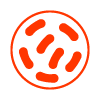 red circular design featuring abstract shapes representing a concept related to 16