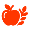 illustration of a heart with anatomical details representing the human cardiovascular system essential for four key functions